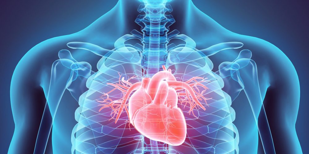 Insuficiência cardíaca: conheça o que é, sintomas e quais são os tratamentos