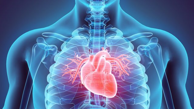 Insuficiência cardíaca: conheça o que é, sintomas e quais são os tratamentos